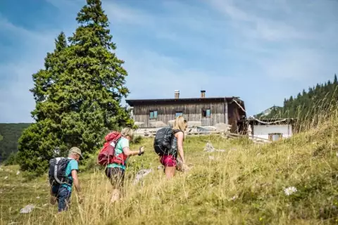 01_chiemsee_eb_almsommer_priener_huette_c_chiemsee_alpenland_tourismus_kujat_thomas