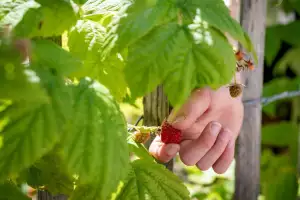 10-schleipfnerhof-schleipfen-1-bernau-am-chiemsee-07-2025-kinder-spielplatz-17
